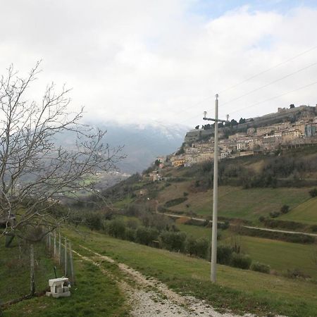 B&B La Collina Degli Ulivi Civitella Del Tronto Exterior photo